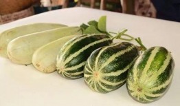 康县网红的瓜吃不吃,吃不吃，真相揭晓！